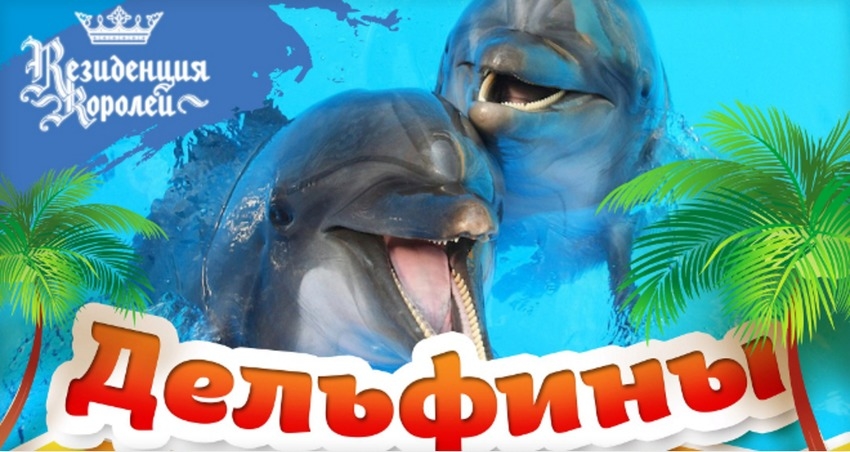 Дельфины Карибского моря