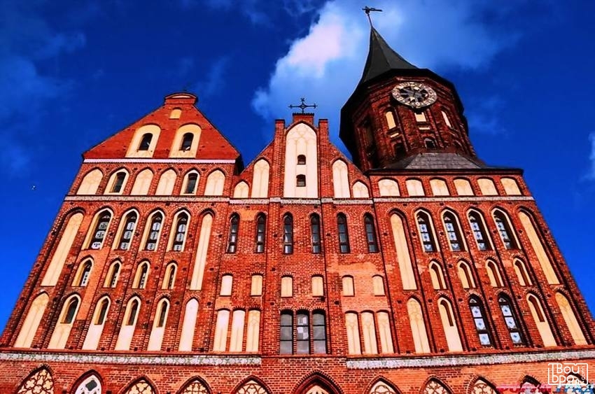 Орган. Посвящение в тайну