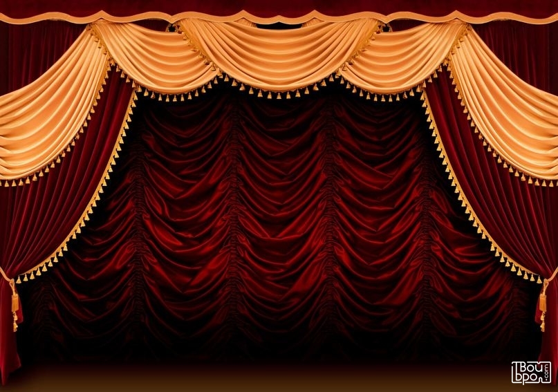 Ревизор (ДКЖ)