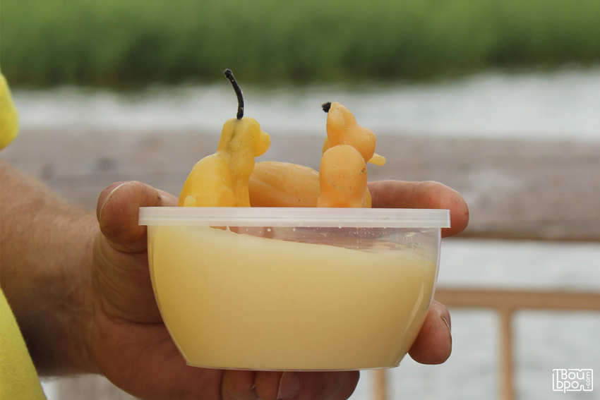 Праздник мёда