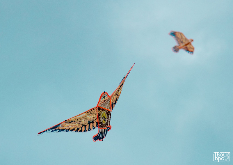на Куршской косе