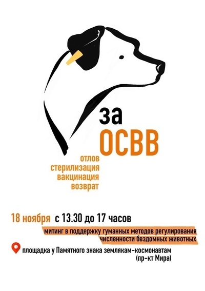 в поддержку гуманных методов регулирования численности бездомных животных