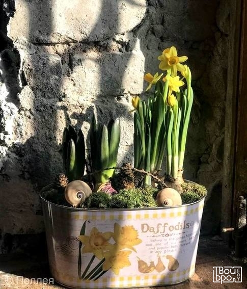 «Цветочная симфония»