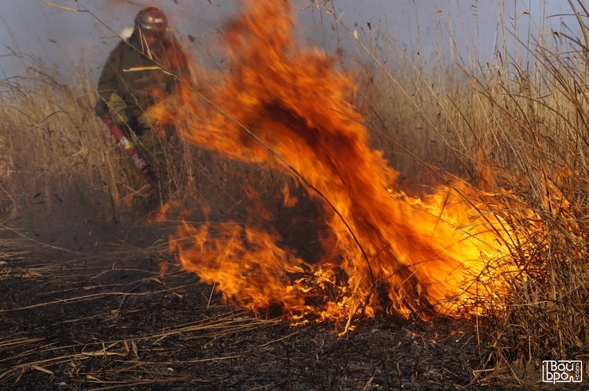 Почему весной всё горит?