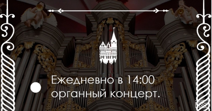 Дневной органный мини-концерт
