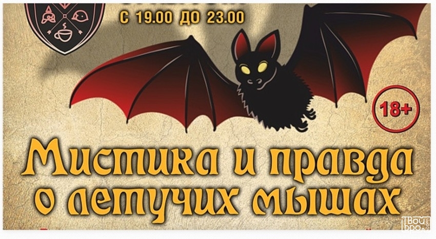 Мистика и правда о летучих мышах