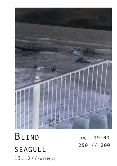 BLIND SEAGULL