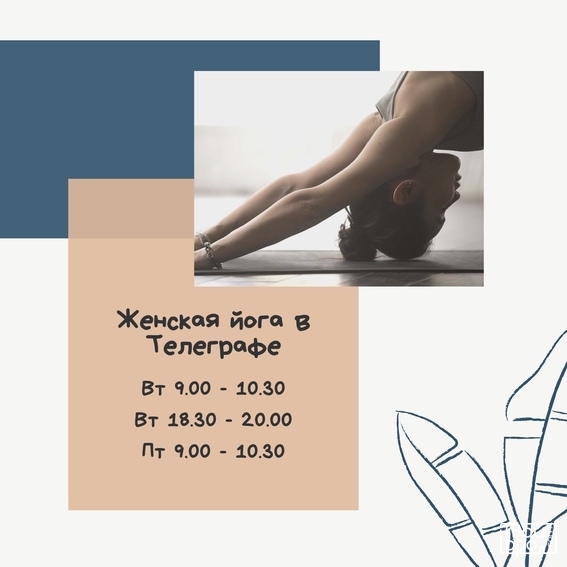 В «Телеграфе»