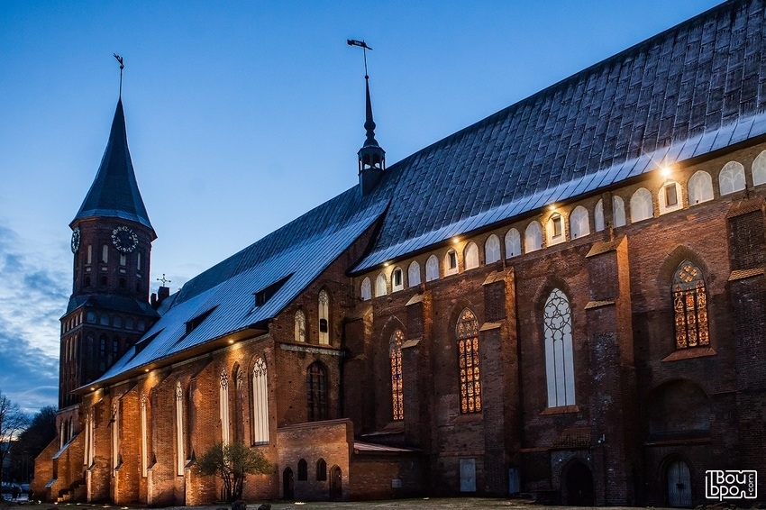 МузыКанты на острове Канта