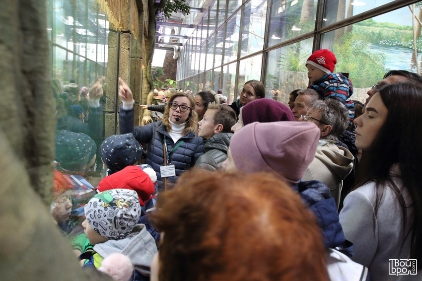 «Прогулка с директором»