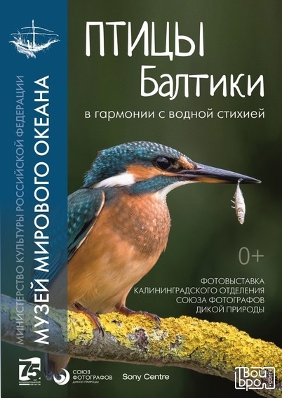 «Птицы Балтики. В гармонии с водной стихией»