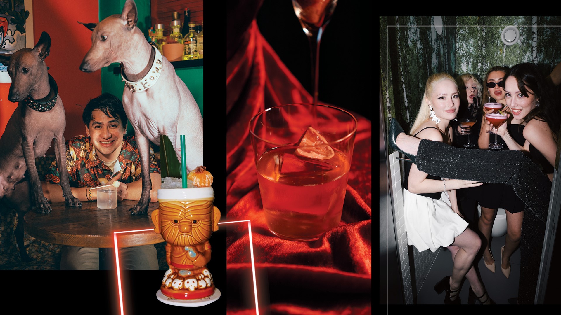 Где тусить в Калининграде