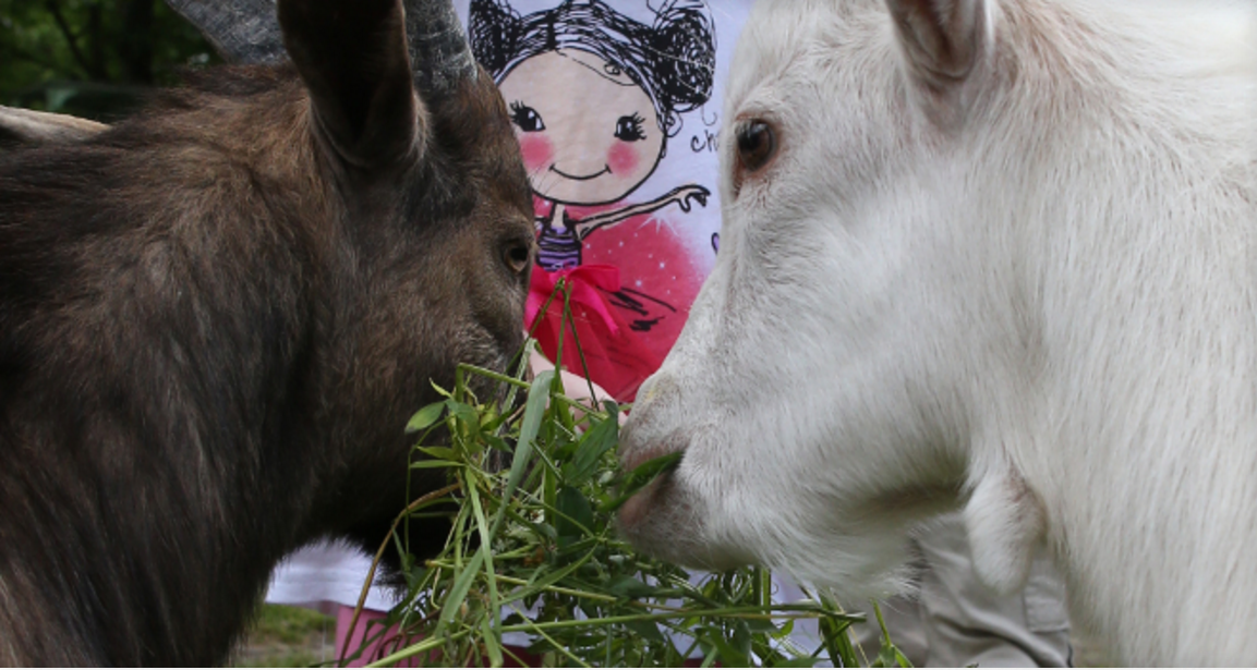 19 июня: День объедения