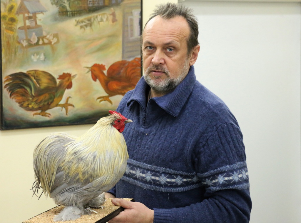 С 27 декабря до конца января 2017: Выставка таксидермической скульптуры «Символ года – петух»