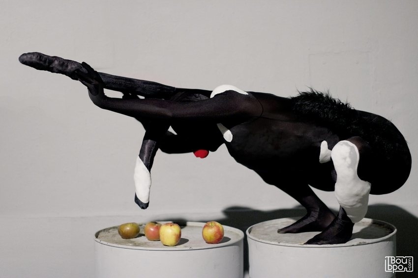 Выставка Элизабет Сен-Жальм "Пространство для маневра"