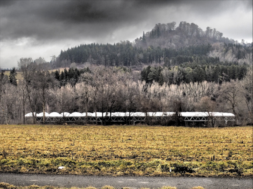 С 25 мая по 16 июля: Выставка немецких фотографов «Шварцвальд –трансфер» группы OrtPhoton