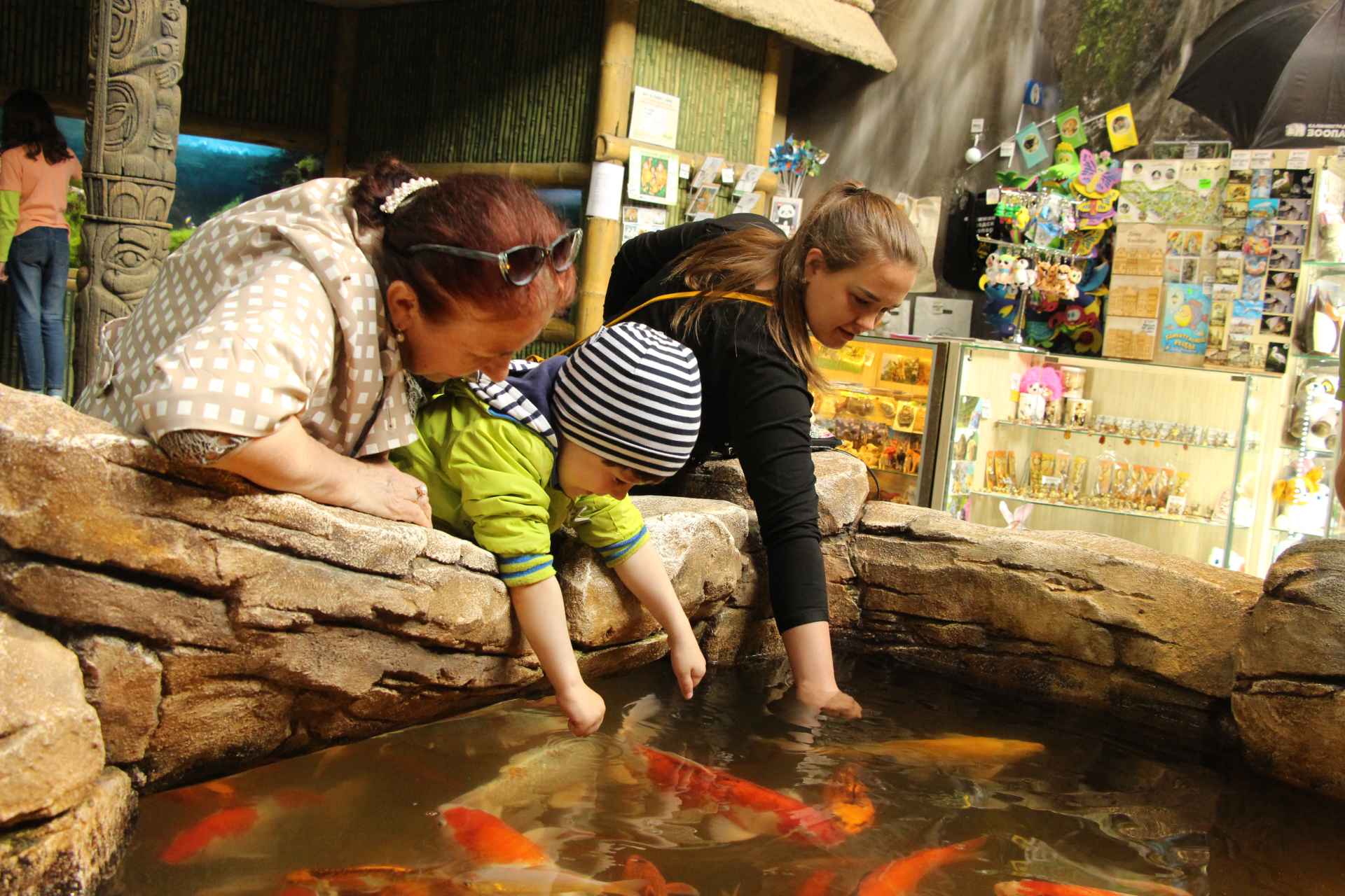 12 ноября: Экскурсия «Как рыба в воде» из цикла «Другой зоопарк»