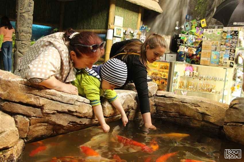 Экскурсия «Как рыба в воде» из цикла «Другой зоопарк»