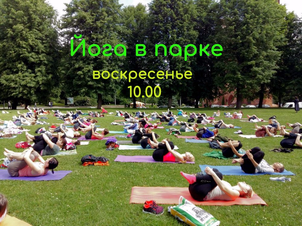 С 15 июля по 26 августа: Йога в парке