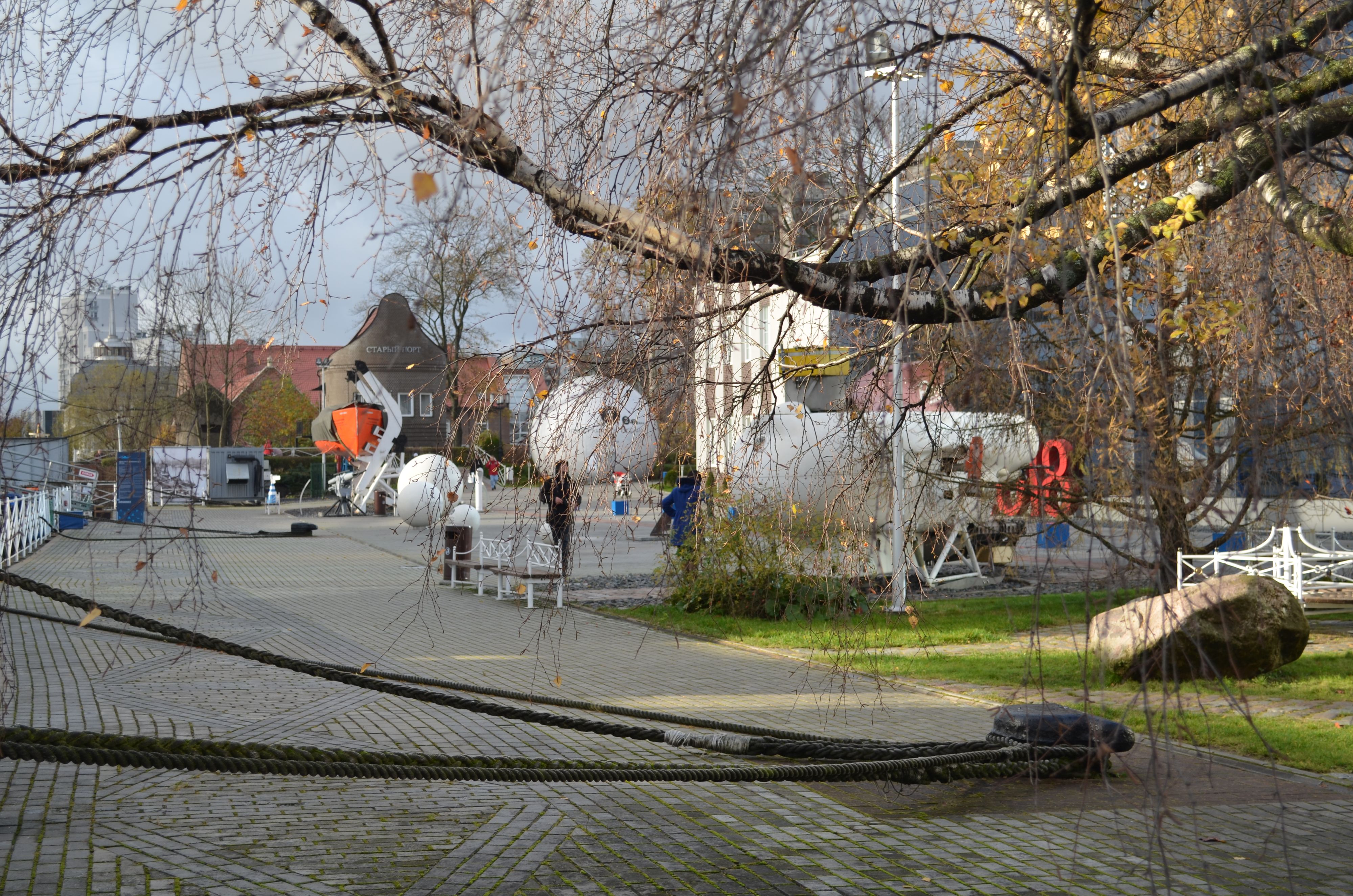 Культурный выходной: в Музее Мирового океана