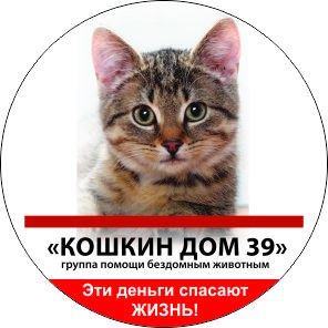 Фримаркет: помощь приюту "КОШКИН ДОМ 39"