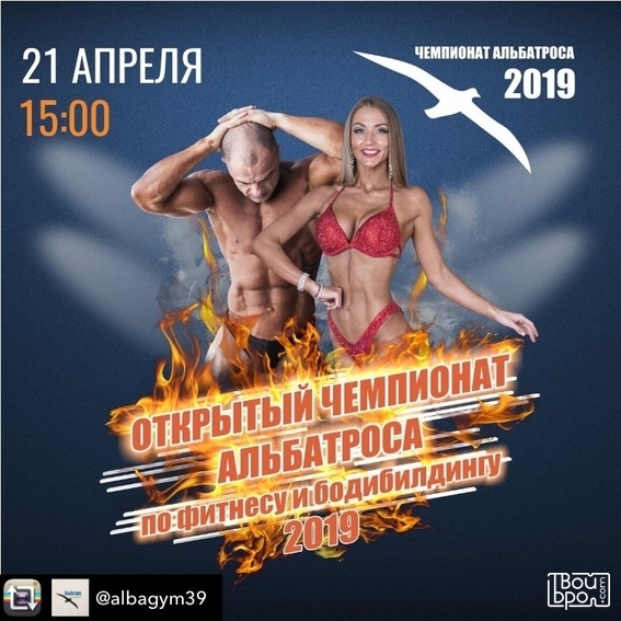 по фитнесу и бодибилдингу 2019