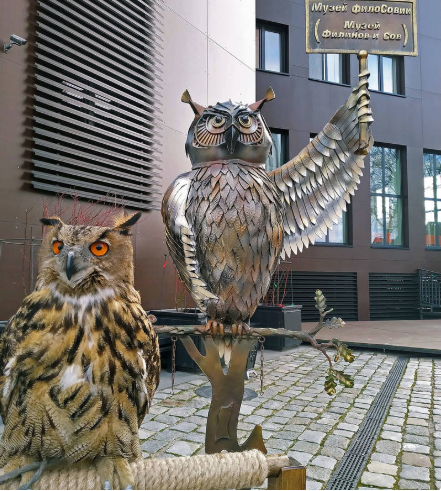 Музейная ночь — 2019: Музеи «ПАРАDOX»