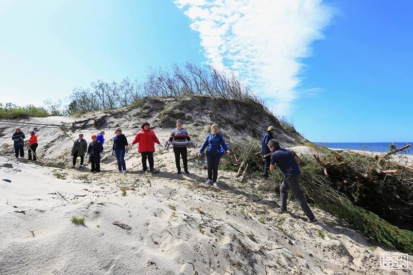 Марш парков