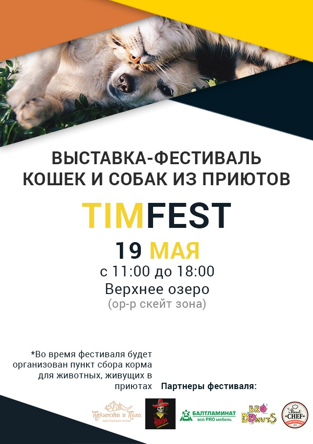 Тим-Фест: Выставка-фестиваль собак и кошек из приютов