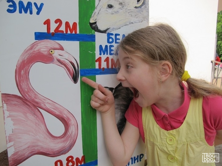 Калининградский зоопарк