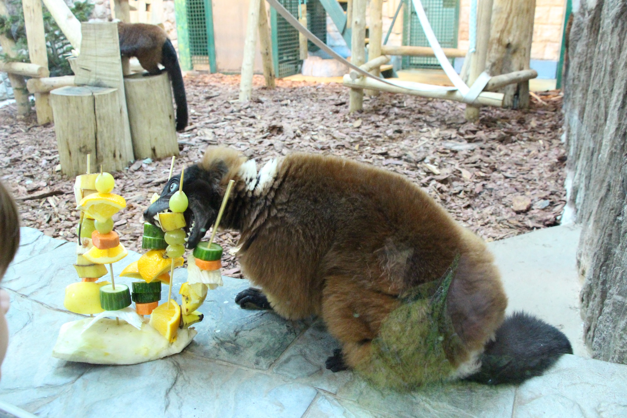 Праздник: День обезьян!