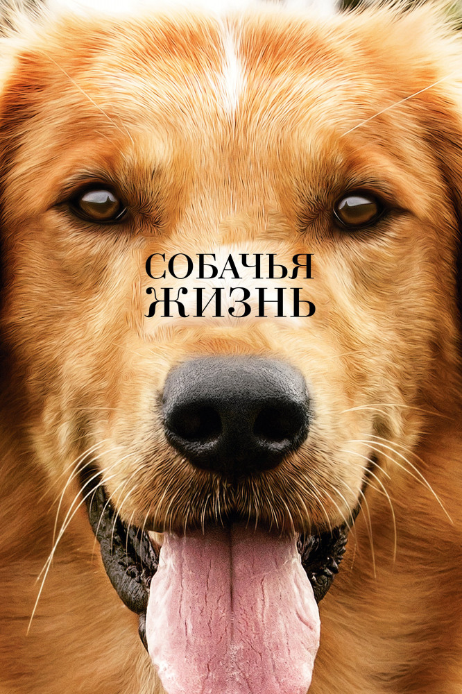 Кинопросмотр : «Собачья жизнь»