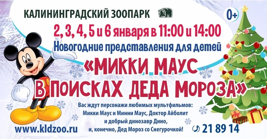 «Микки Маус в поисках Деда Мороза»!