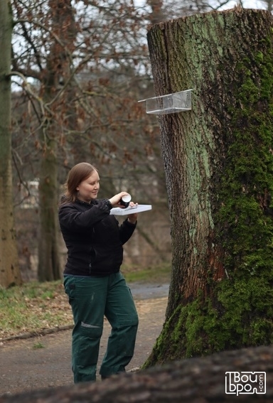 Покормите птиц зимой!