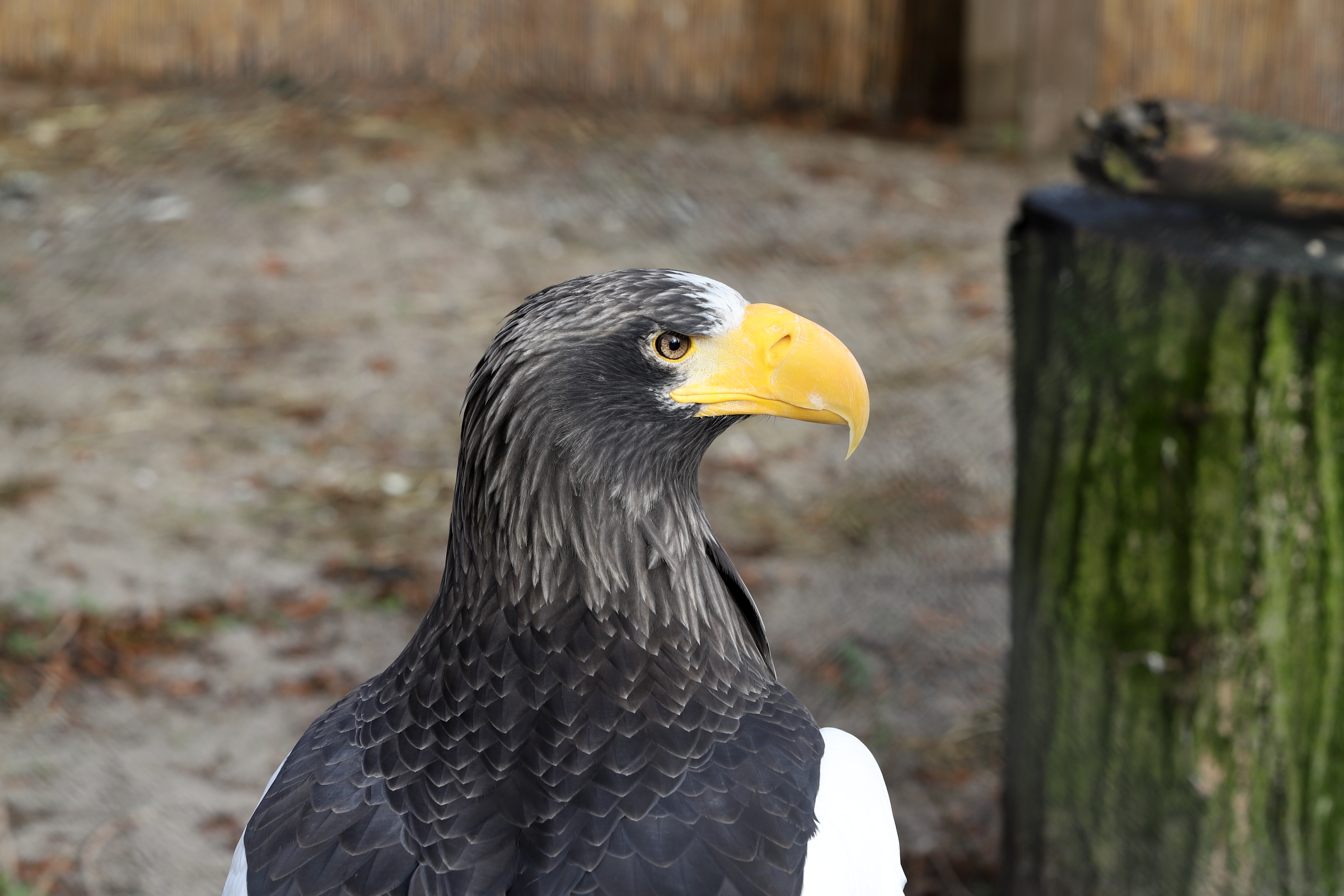 Экскурсия : «На острие когтей»