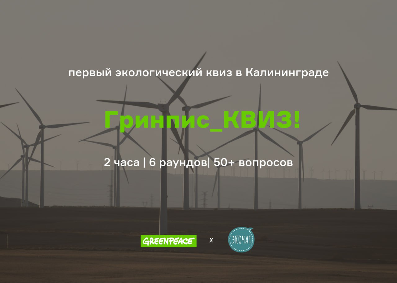 Интеллектуальная игра: «Гринпис_КВИЗ»