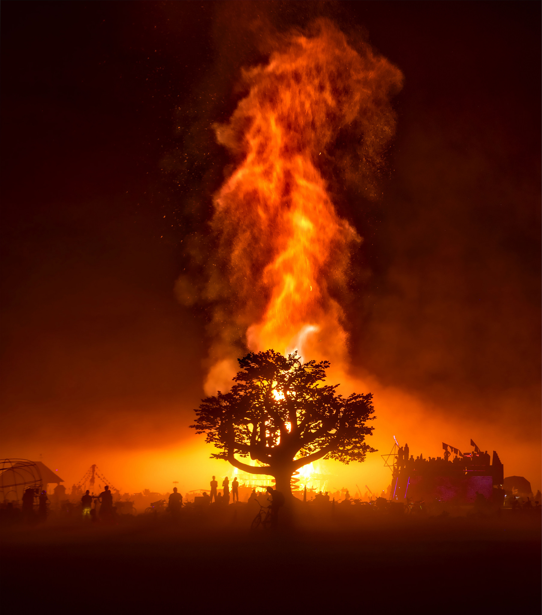 Большая история калининградцев, побывавших на Burning Man, – возможно, главном фестивале планеты Фото №6