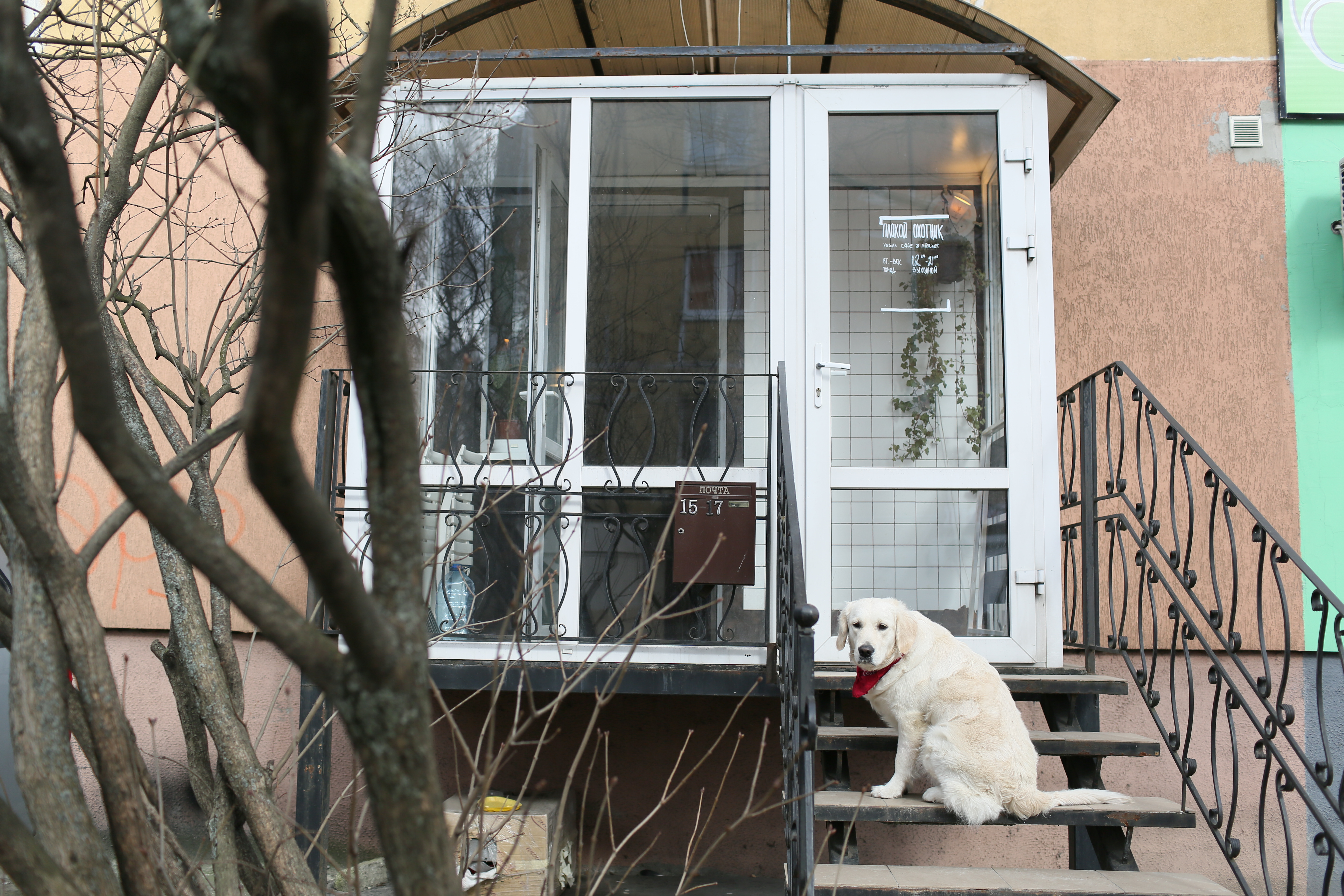 Обзор заведений Калининграда, в которые пускают с собакой. Часть 1 Фото №4