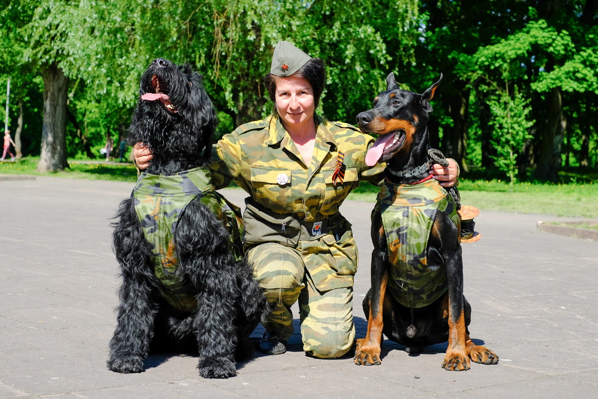 Татьяна Синцова, главный бухгалтер, собаковод-любитель, с титулованным доберманом и русским чёрным терьером Чернышом 