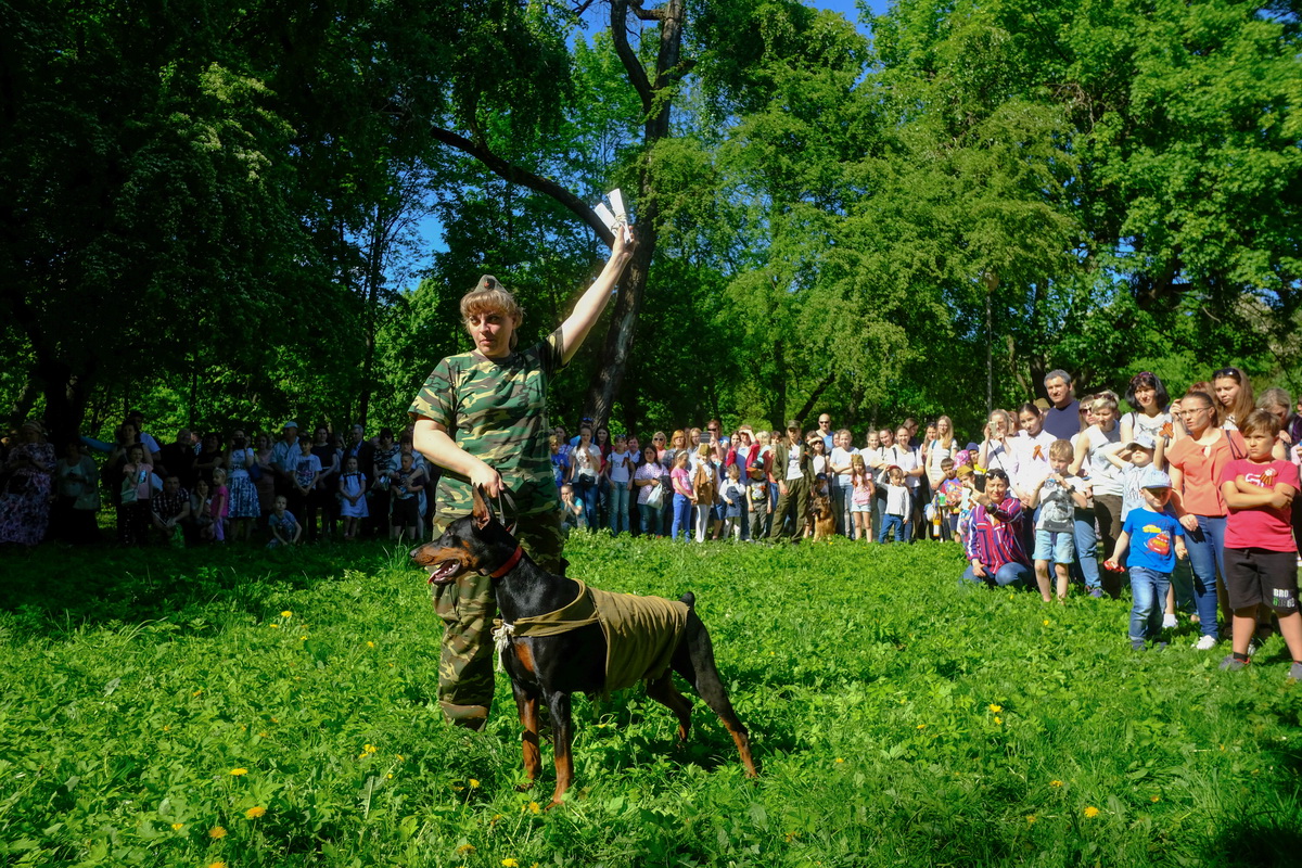 Калининградцы и участники «Лохматого полка» о самой необычной акции Дня Победы 