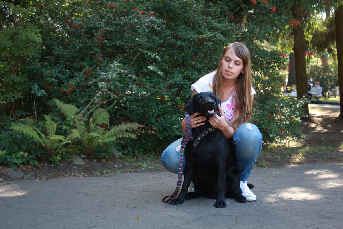 Как владельцы собак борются с проблемой выгула питомцев в Калининграде Фото №2