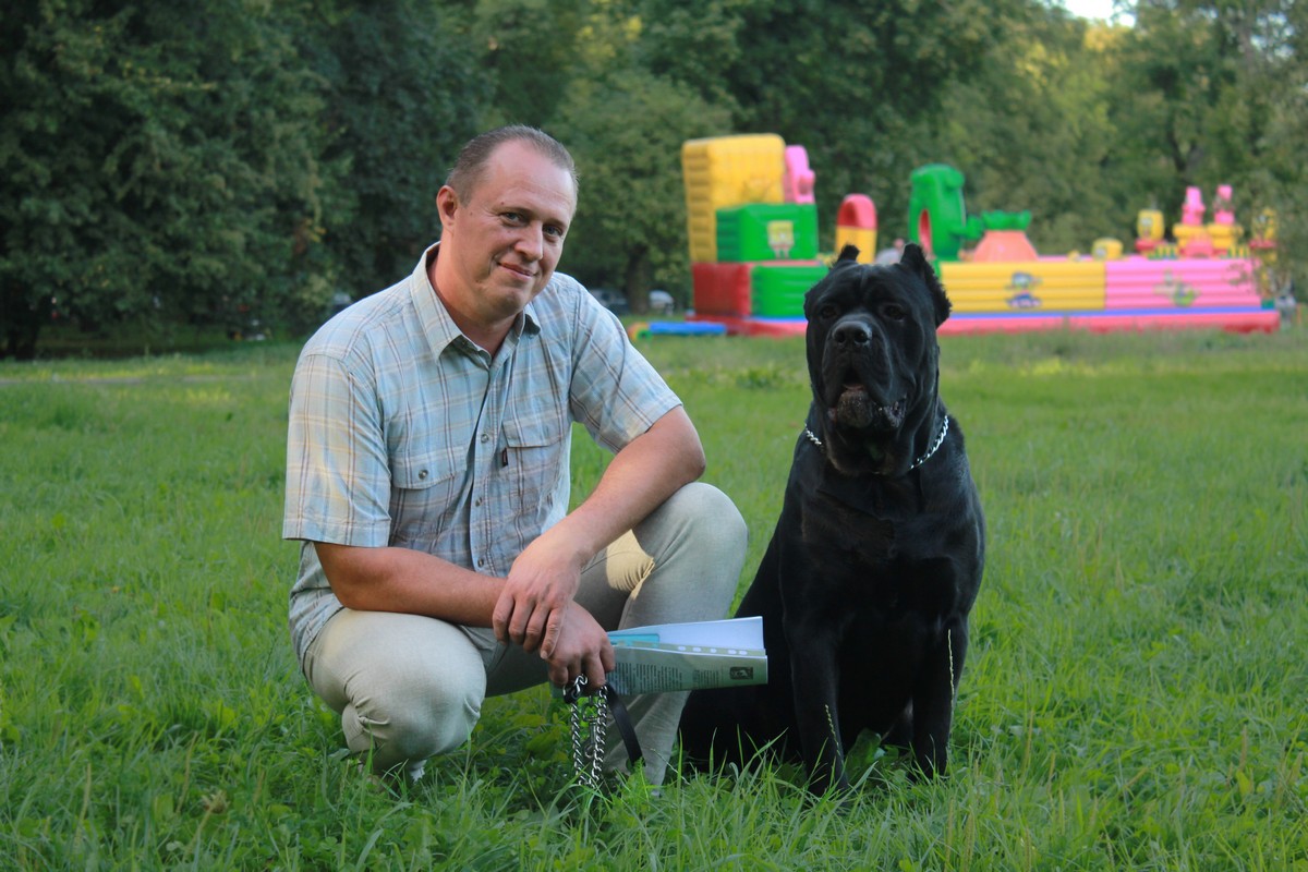 Как владельцы собак борются с проблемой выгула питомцев в Калининграде Фото №3