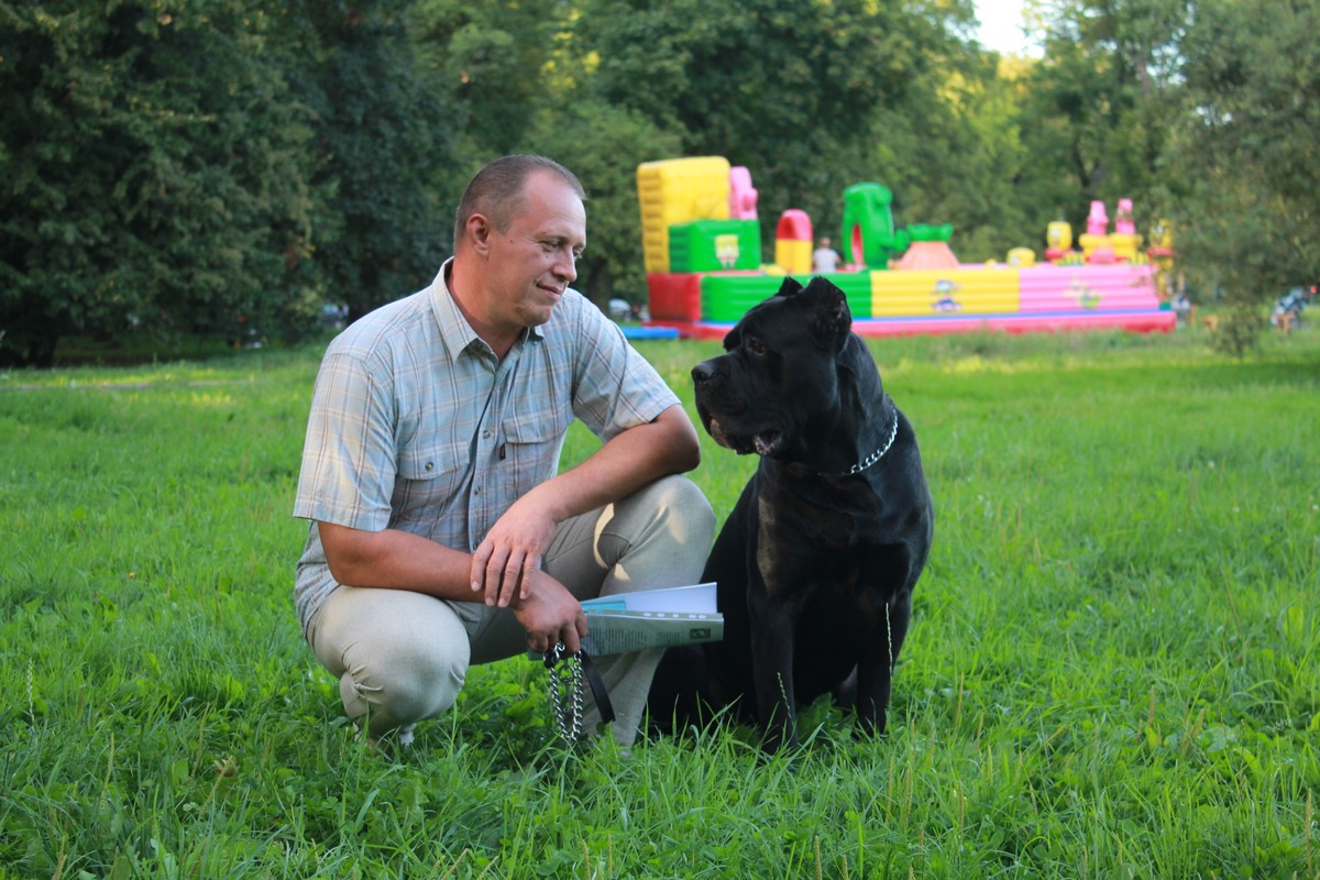 Как владельцы собак борются с проблемой выгула питомцев в Калининграде Фото №4