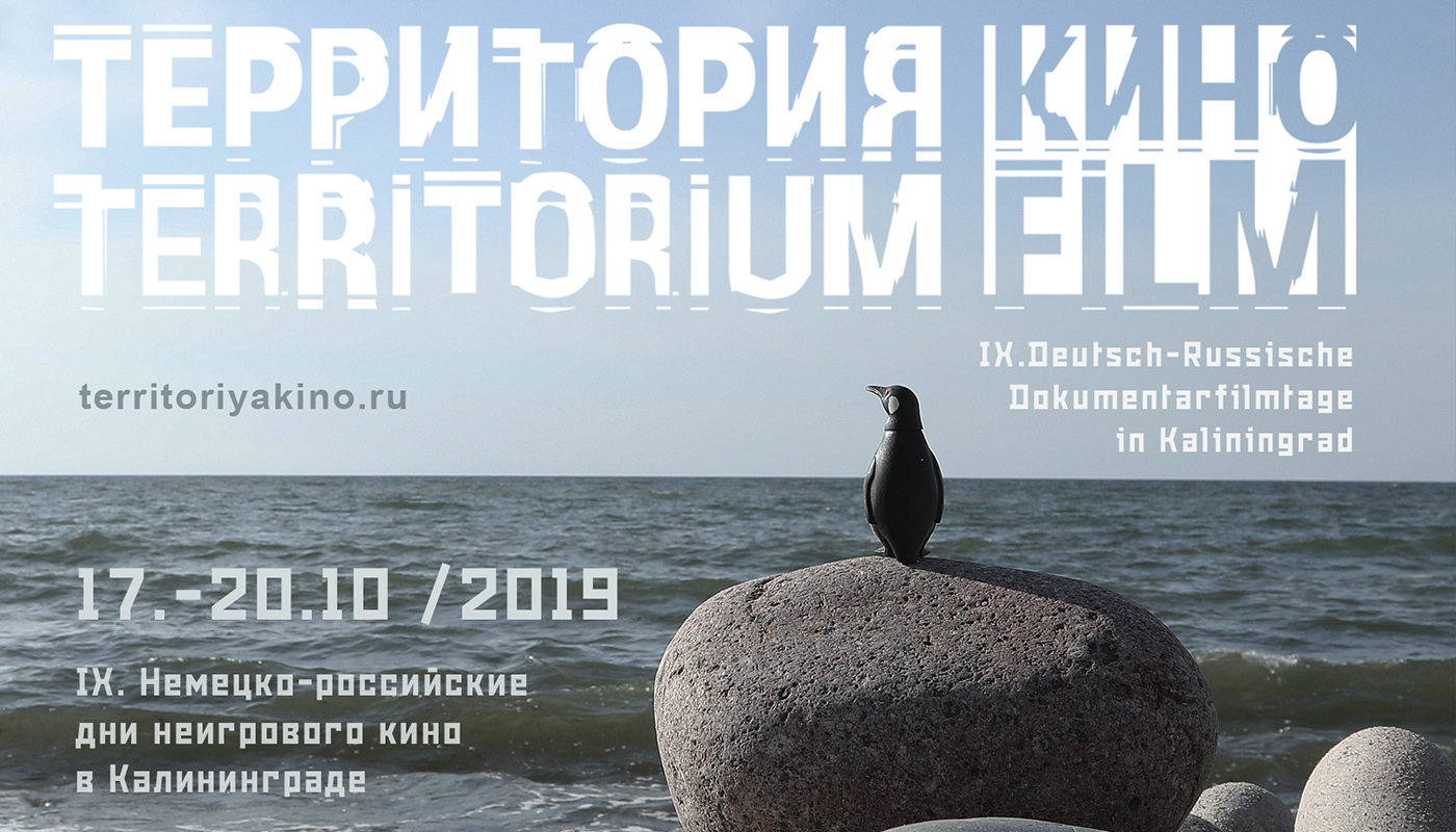 Фестиваль «Территория кино» 6+17-20 октября, Калининград, вход свободный 
