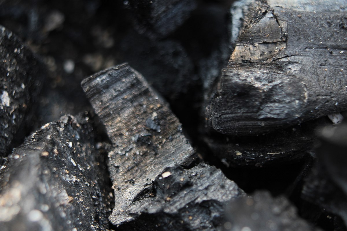 Особенности покупки угля в интернет-магазине «Озон» 