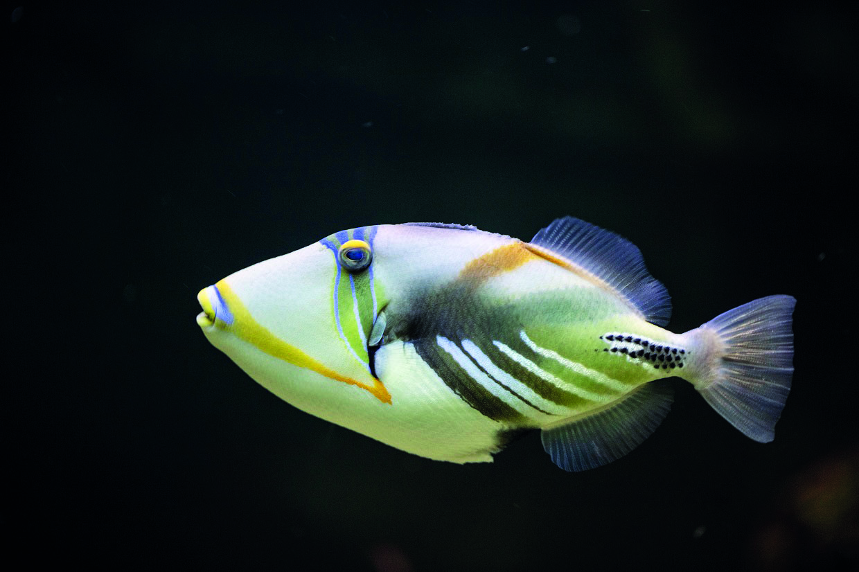 27 мая, 11:00, 300 руб.Зоопарк. Калининград, проспект Мира, 26 