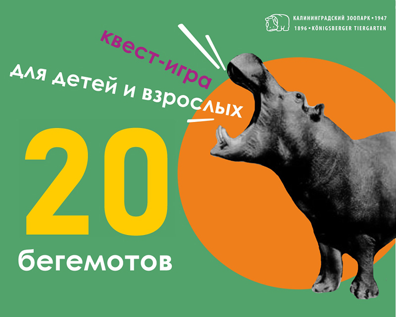 5 и 6, 12 и 13 августа, с 9:00 до 21:00, от 170 руб.Зоопарк. Калининград, проспект Мира, 26 