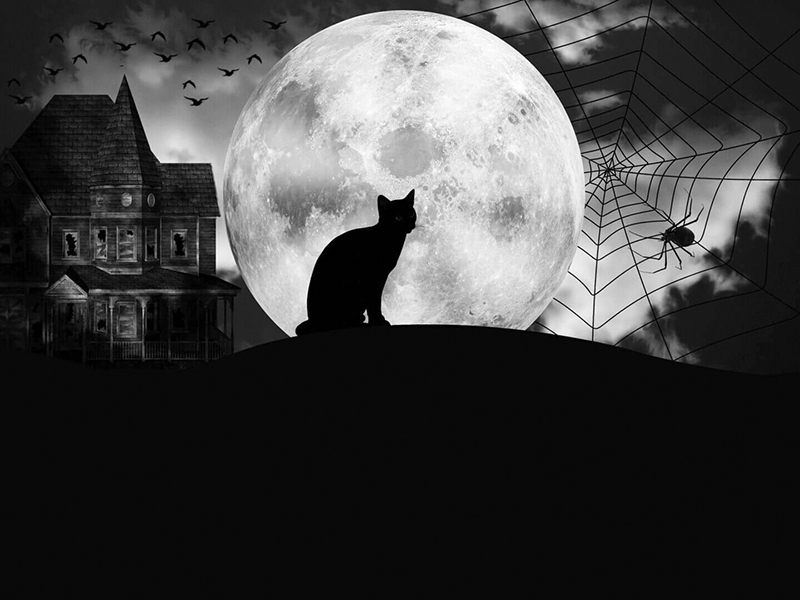 8, 16, 22 и 29 августа, 20:00, от 700 руб.Площадка для театрализованных экскурсий. Светлогорск, ул. Ленина, 32 