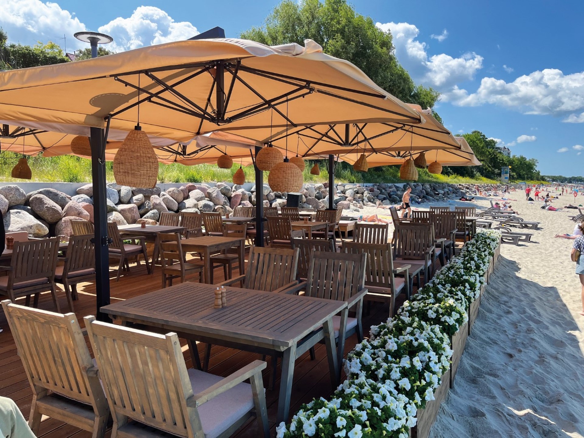 Ботвинья с любистоком, кафе на пляже и кофейня с птичкой Фото №3