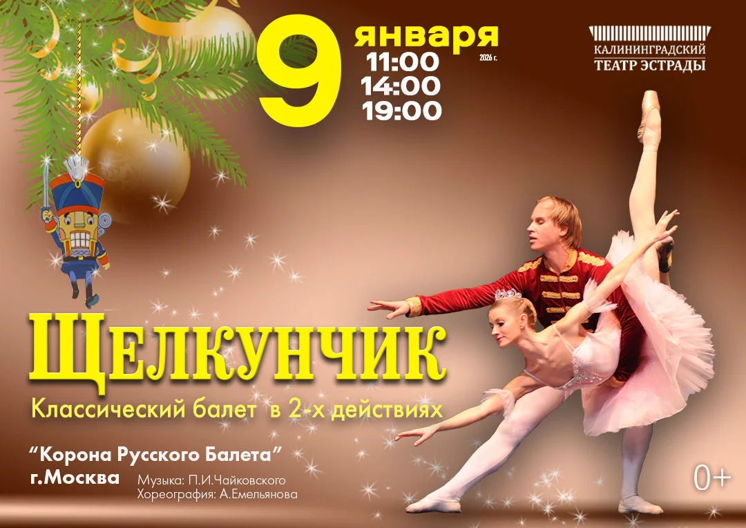 9 января, 11:00, 14:00 и 19:00, от 1500 руб.Дом искусств. Калининград, Ленинский проспект, 155 